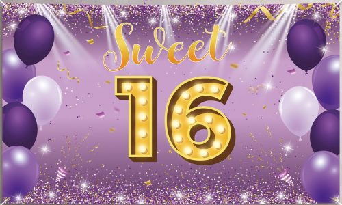Sweet Sixteen Party DJ Services NJ, PA, De